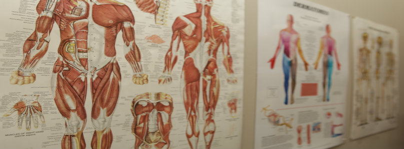 Posters medium(copy)